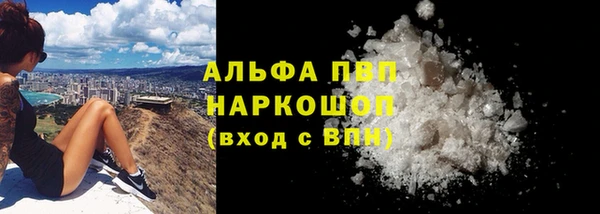 гидра Новокубанск