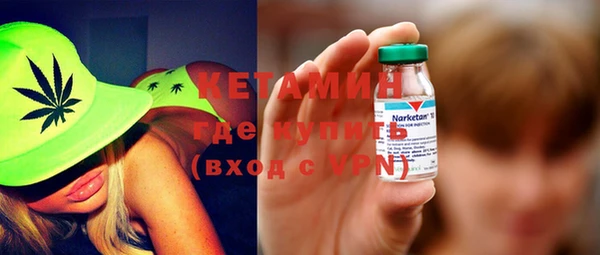 шишки Няндома