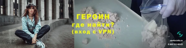 шишки Няндома