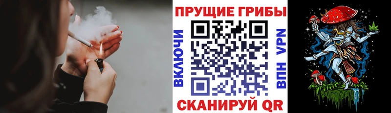 Псилоцибиновые грибы мицелий  Шелехов 